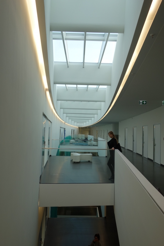 DZNE Zentrum F r Neurodegenerative Erkrankungen Bonn 